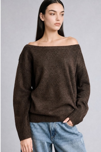 Women Brown Regular Fit Pullover