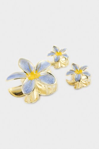 Woman 3 Pieces Hair Clips
