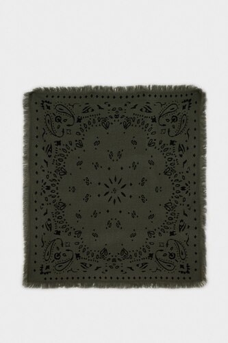 Woman Paisley Patterned Scarf