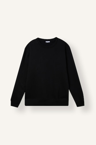Regular Fit Basic Crew Neck Sweatshirt