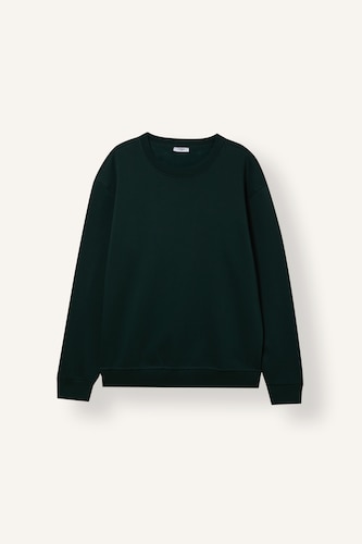 Regular Fit Crew Neck Basic Sweatshirt