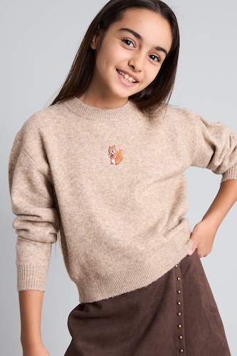 Young Girls - Teen Girls Vison Girl Regular Fit Embroidered Crew Neck Pullover