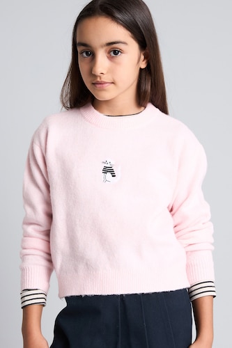 Young Girls - Teen Girls Light Pink Girl Regular Fit Embroidered Crew Neck Pullover