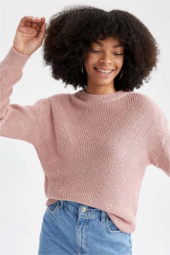 Women Rose Regular Fit Pullover