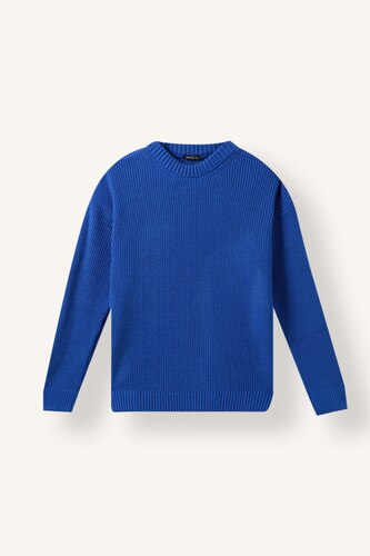 WOMAN Sax Regular Fit Pullover