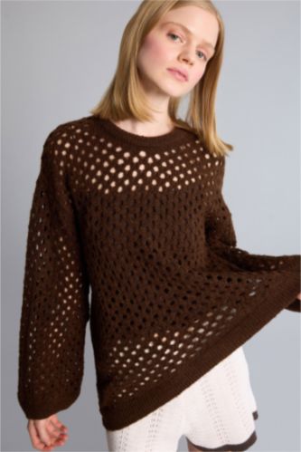 Woman Brown Regular Fit Knitwear Pullover