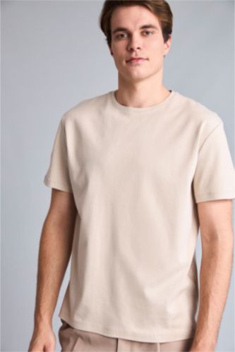 Men Stone Regular Fit Short Sleeve T-Shirt