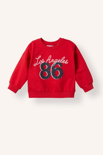 Baby Boys Red Regular Fit Printed Crew Neck Sweatshirt