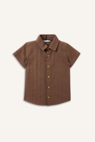 Baby Boys Stone Regular Fit Short Sleeve Shirt