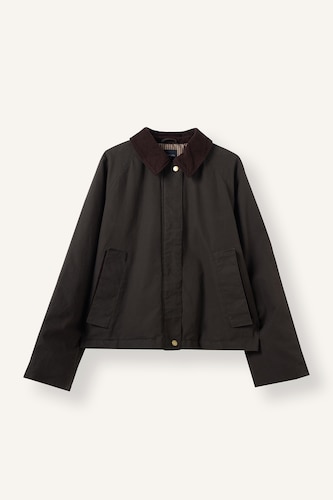 Regular Fit Shirt Collar Cotton Jacket