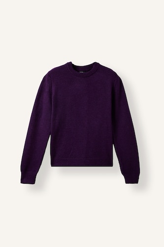 Kadın Mor Regular Fit Bisiklet Yaka Basic Kazak