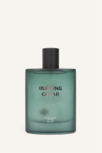 Men Green Woody Perfume 100 ml