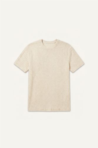 Men Stone Regular Fit Short Sleeve T-Shirt