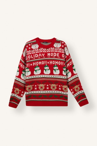 Regular Fit Crew Neck Knitted Christmas Pullover