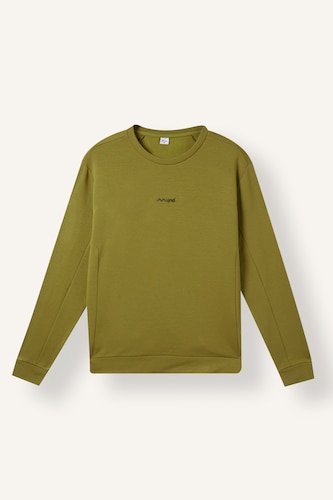 Men Khaki Standard Fit Sweatshirt