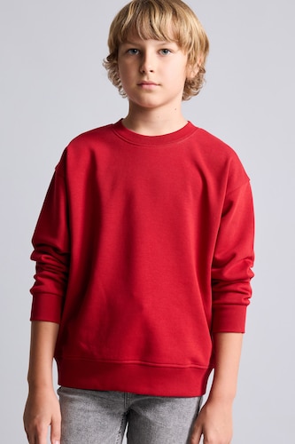 Young Boys - Teen Boys Red Regular Fit Crew Neck Sweatshirt