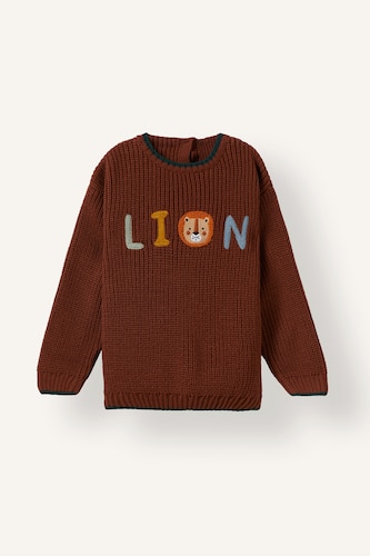 Baby Boys Brown Baby Boy Oversize Fit Pullover
