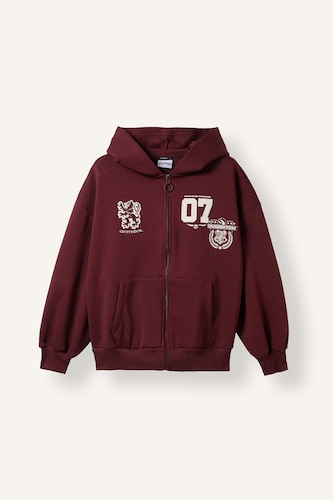 Oversize Fit Thick Zip-Up Hooded Harry Potter Gryffindor Printed Sweatshirt Cardigan