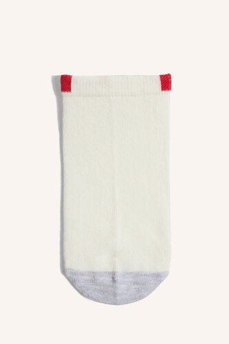 Boy 5 Piece Cotton Ankle Socks