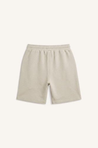 Regular Fit Regular Hem Shorts