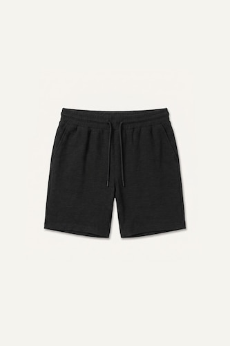 Regular Fit Regular Hem Shorts