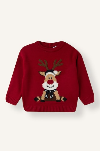 Baby Boy Regular Fit Crew Neck Pullover