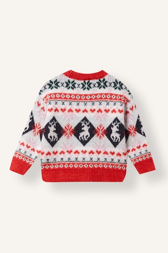Baby Girl Regular Fit Crew Neck Pullover