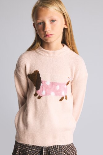 Young Girls - Teen Girls Light Pink Girl Regular Fit Animal Turtleneck Pullover