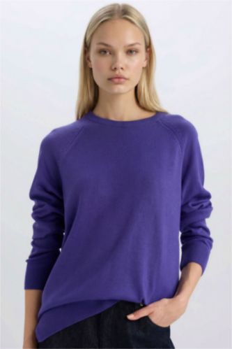 	Regular Fit Yumuşak Dokulu Bisiklet Yaka Basic Düz Triko Kazak