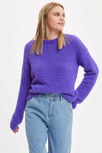 Regular Fit Crew Neck Tricot Pullover 