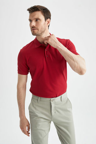 Regular Fit Polo Yaka Basic Kısa Kollu Pamuklu Penye Tişört