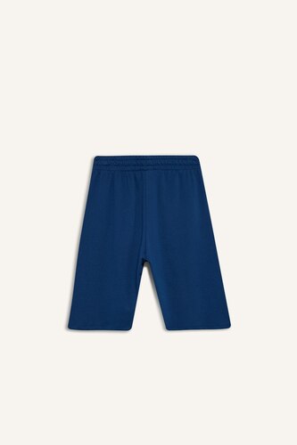 Regular Fit Straight Leg Shorts