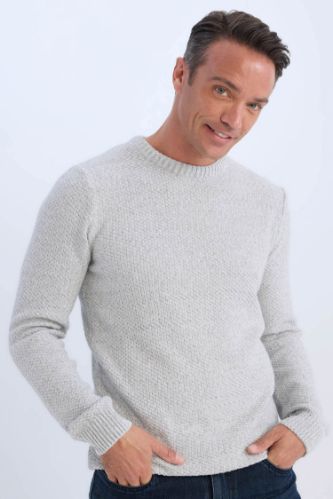 Pull tricot Coupe Régulière Col Rond