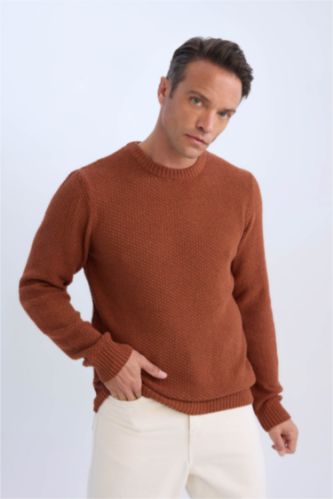 Men Dark Orange Standard Fit Knitwear Pullover