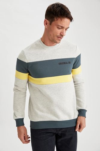 Regular Fit Block Color Sweatshirt