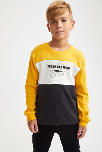 Boy Boy'S Crew Neck Tiger Printed Sweatshirt