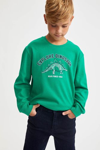 Boy Boy'S Dinosaur Printed Sweatshirt
