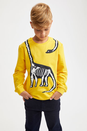 Boy Boy'S Dinosaur Printed Zipper Detailed Sweatshirt