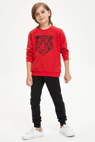 Boy Tiger Printed Long-Sleeved Sweatshirt And Joggers - Tracksuit Set