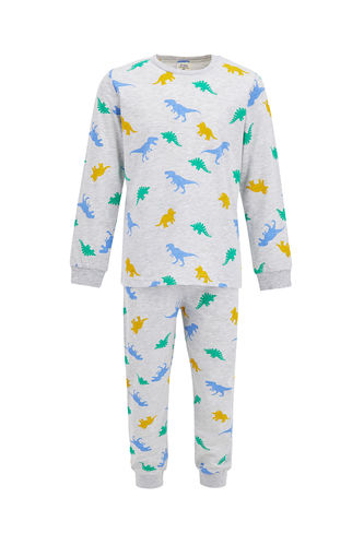 Boy Boy'S Dinosaur Printed Pyjama Set