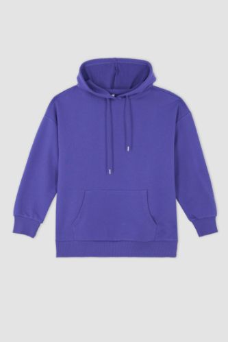 Purple WOMEN Oversize Fit Pocket Hooded Long Sleeve Thick Fabric Sweatshirt  2537680