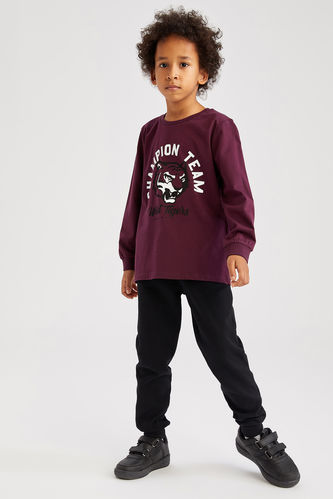 Boy Boy'S Tiger Printed Cotton Long Sleeve T-Shirt