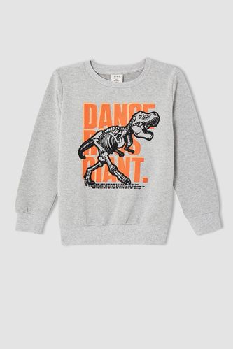 Erkek Çocuk Dinozor Baskılı Sweatshirt