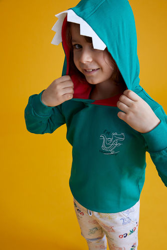 Boy Regular Fit Hooded Crocodile Print Sweatshirt