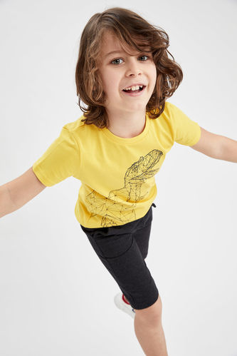 Boy Dinosaur Printed Short-Sleeved T-Shirt And Bermuda Shorts Set