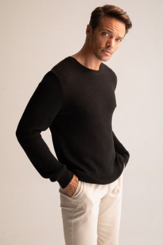 Men Regular Fit Crew-Neck Pullover