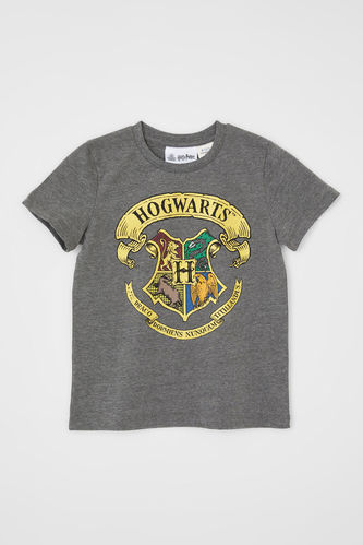 Erkek Çocuk Harry Potter Lisanslı Kısa Kollu Tişört