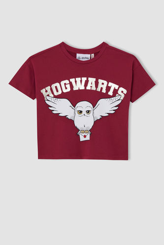 Girl Licensed Harry Potter Short Sleeve Crew Neck T-Shirt