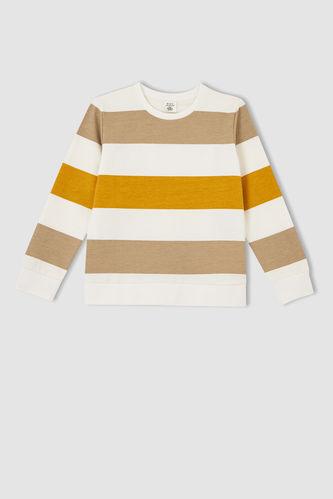 Boys Regular Fit Striped Sweatshirt
