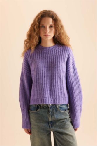 Women Dark Lilac Oversize Fit Knitwear Pullover